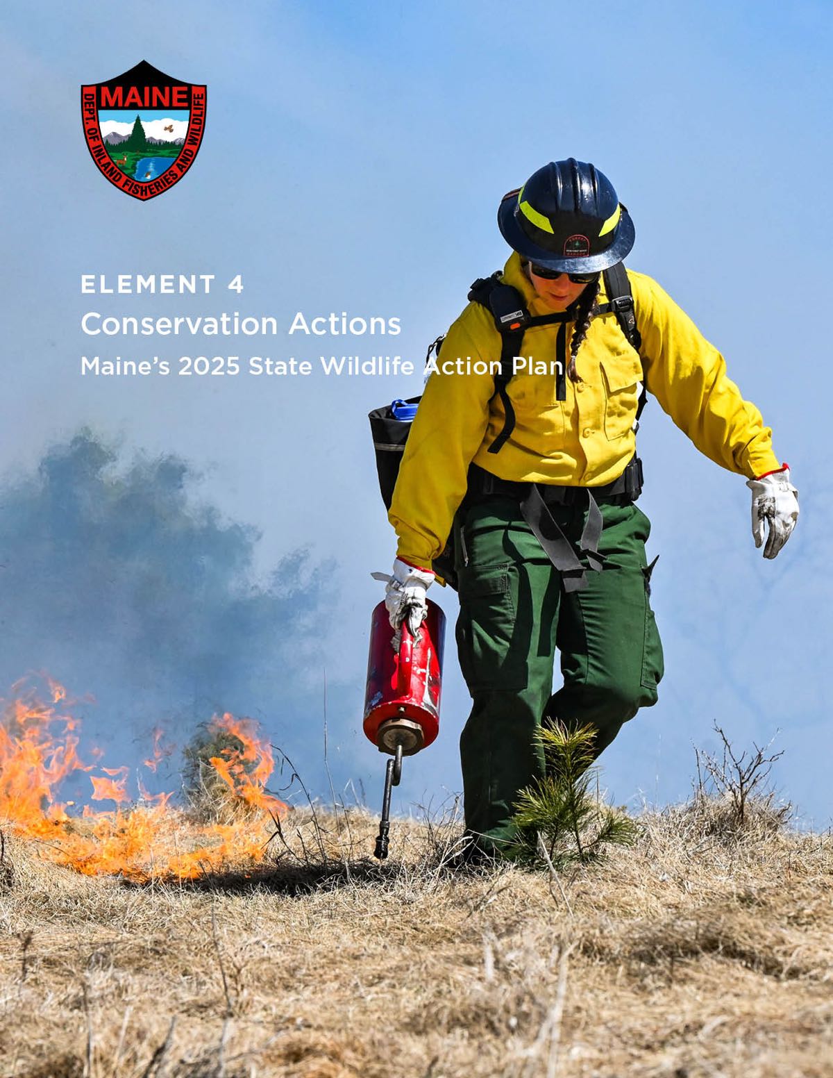 Maine Forest Ranger walking toward camera in black hard hat, yellow jacket, and green pants during a prescribed burn in a field with smoke in background, MDIFW logo in top corner with text: Element 4: Conservation Actions, Maine's 2025 State Wildlife Action Plan