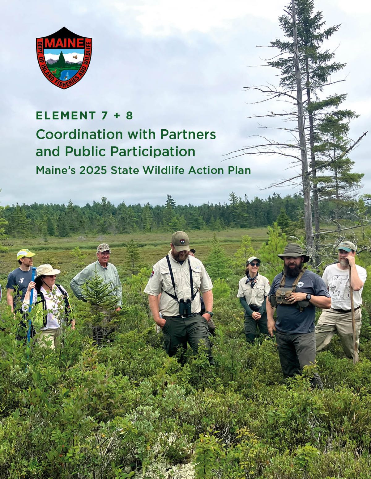 A group of seven conservation professionals standing in a pitch pine barren during a discussion and training, MDIFW logo in top corner with text: Element 7+8: Coordination with Partners and Public Participation, Maine's 2025 State Wildlife Action Plan