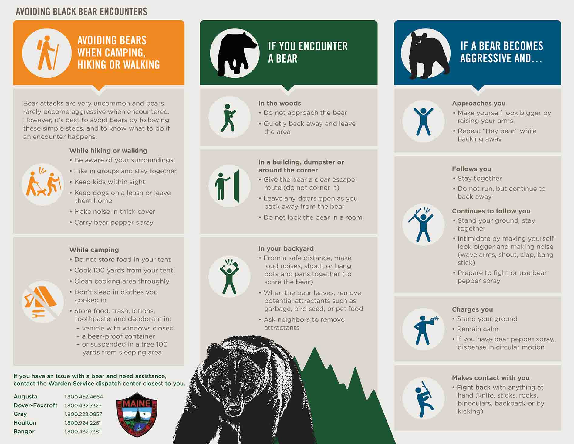 Encounters with Bears