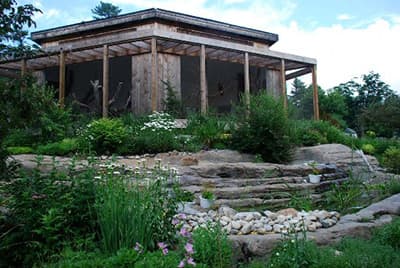 Wildlife Garden