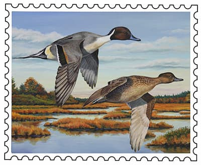 2018 Duck Stamp