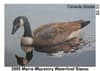2005 Duck Stamp