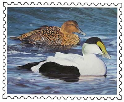 2017 Duck Stamp