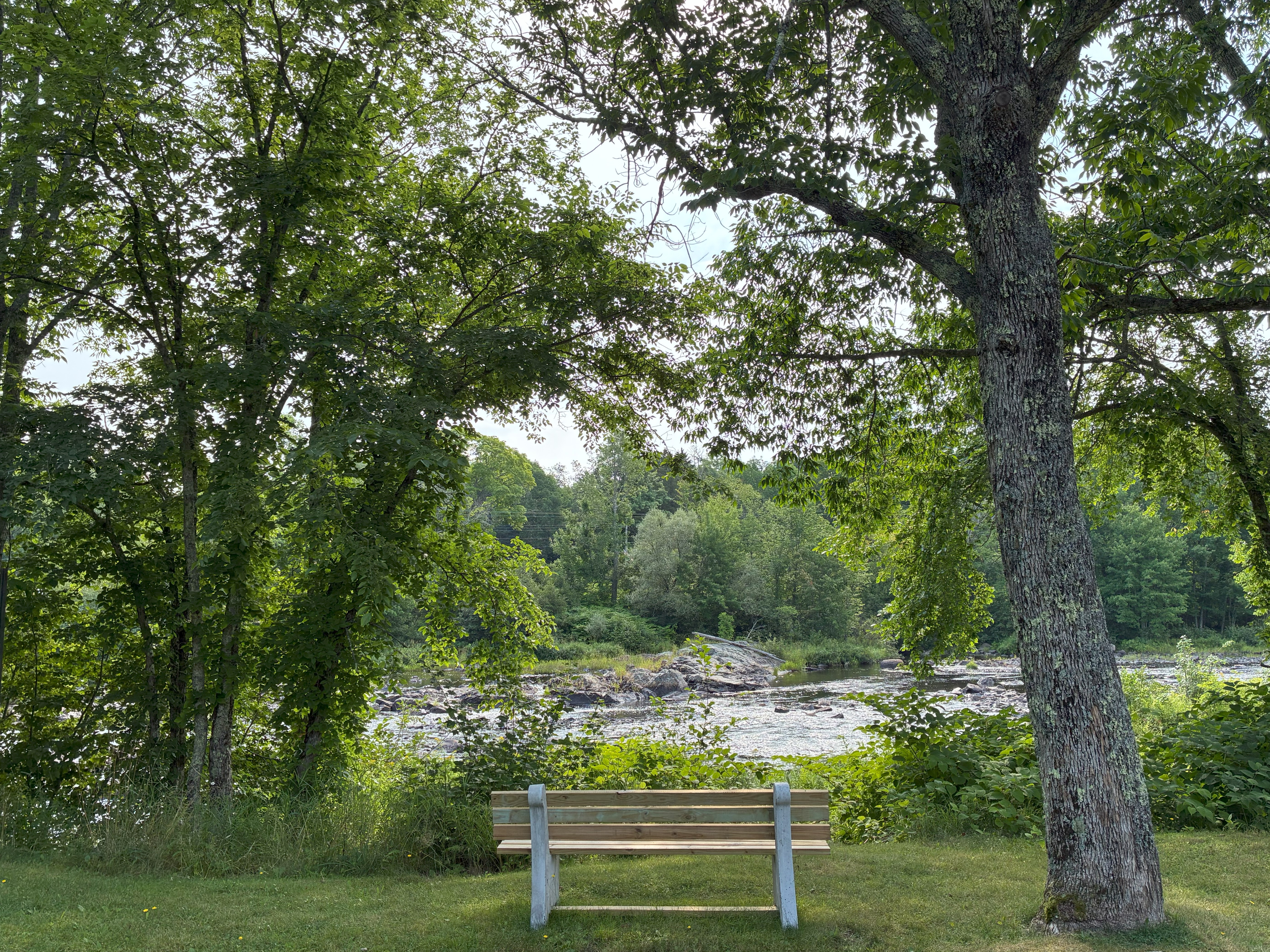 A bench looking out at a river.