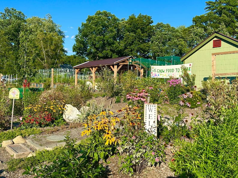 A garden path with flowers and a green shed.