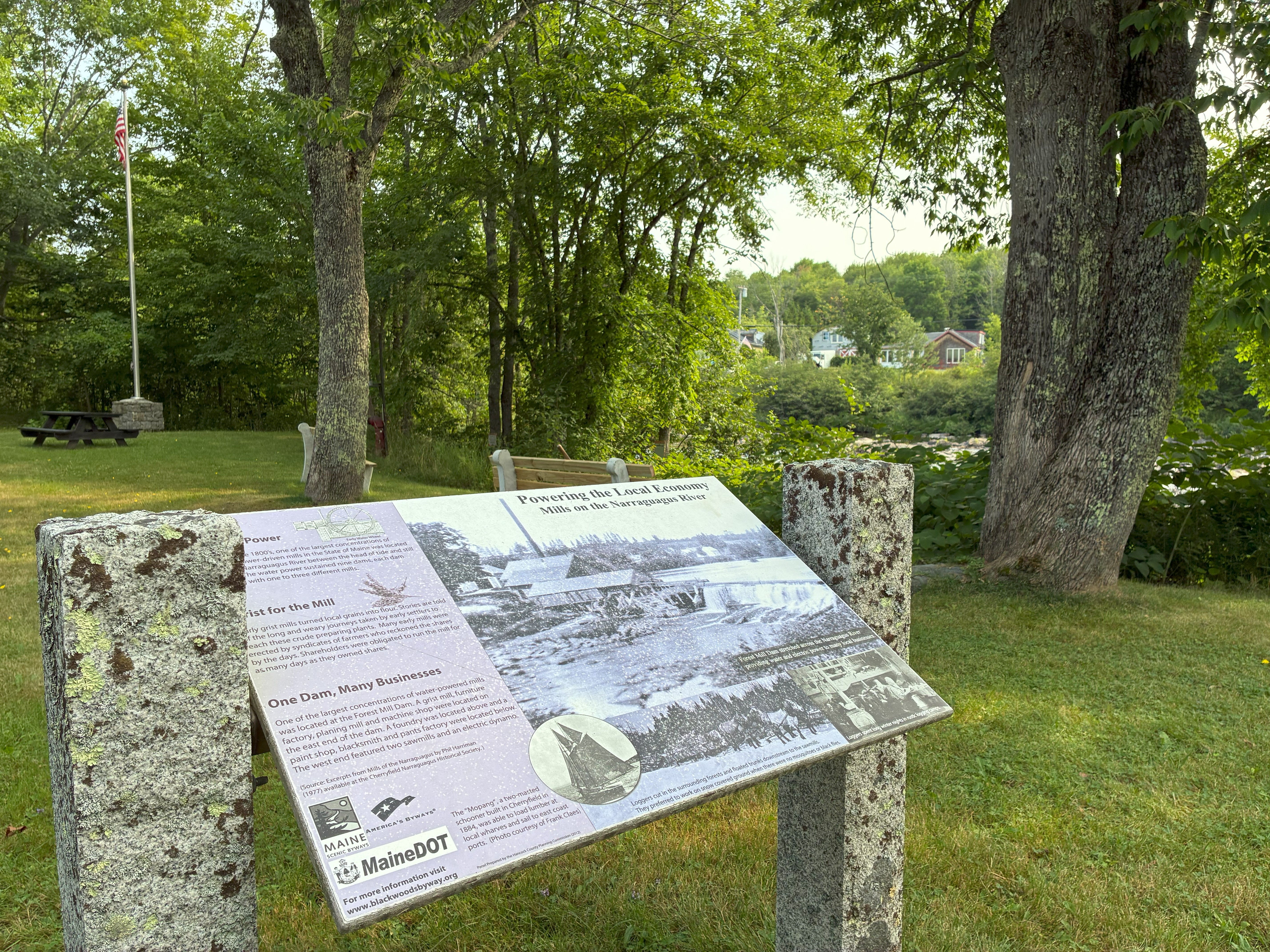 A sign surrounded by trees in a park.