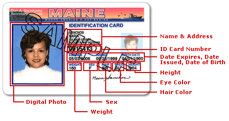 Maine ID Card Details