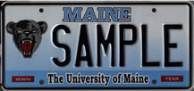 Image of Maine Black Bear Specialty License Plate